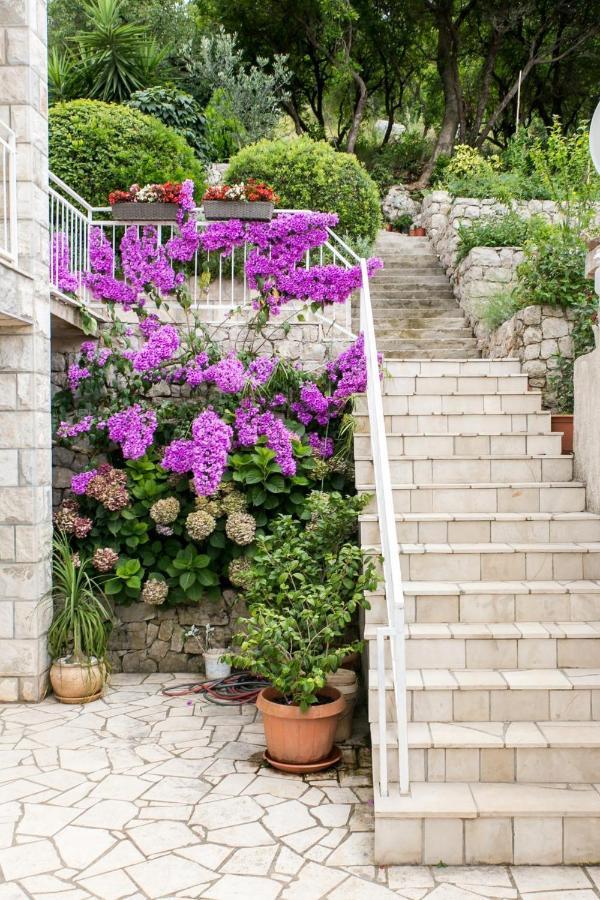 Apartments Maria Donje Celo Екстер'єр фото